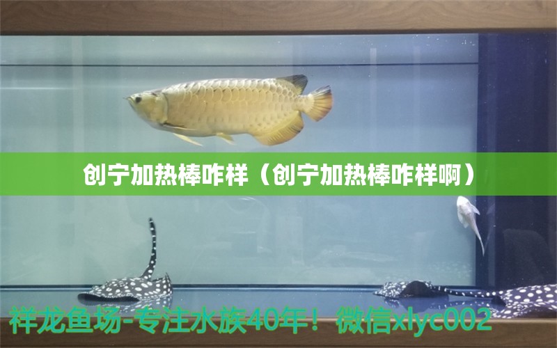 創(chuàng)寧加熱棒咋樣（創(chuàng)寧加熱棒咋樣?。? title=