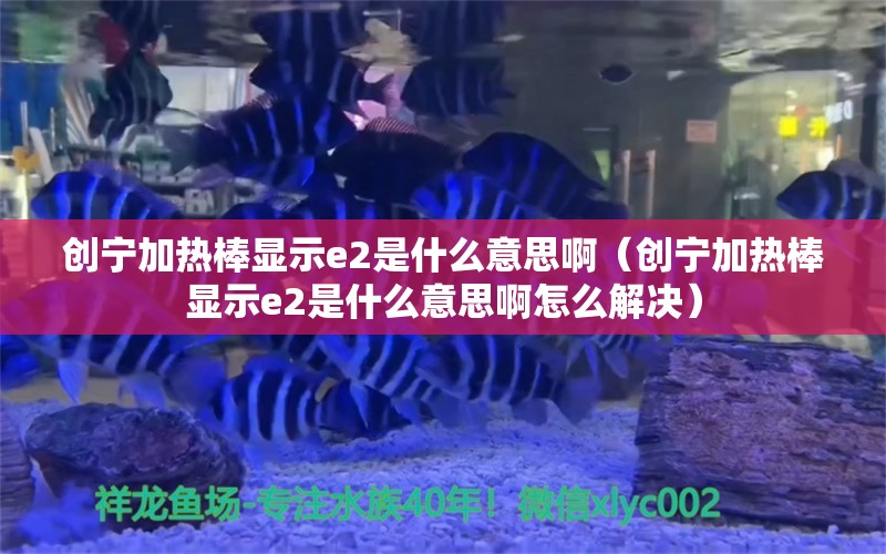 創(chuàng)寧加熱棒顯示e2是什么意思?。▌?chuàng)寧加熱棒顯示e2是什么意思啊怎么解決）