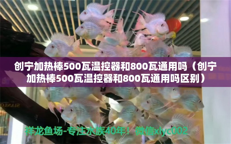 創(chuàng)寧加熱棒500瓦溫控器和800瓦通用嗎（創(chuàng)寧加熱棒500瓦溫控器和800瓦通用嗎區(qū)別）