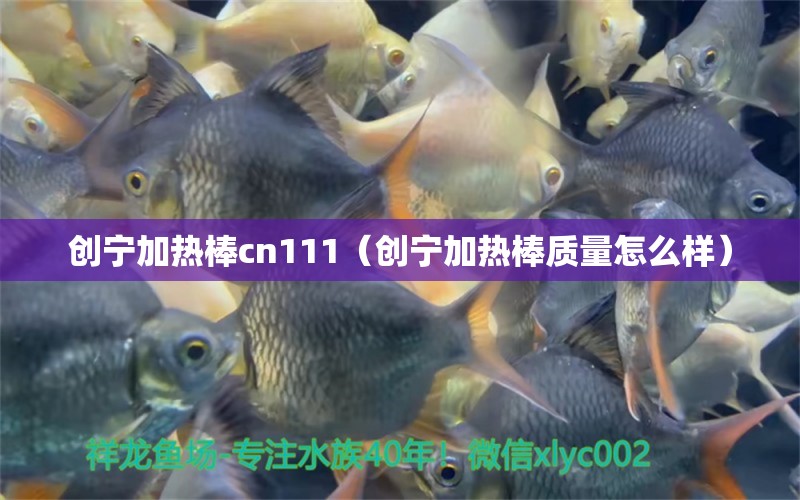 創(chuàng)寧加熱棒cn111（創(chuàng)寧加熱棒質量怎么樣）