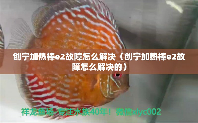 創(chuàng)寧加熱棒e2故障怎么解決（創(chuàng)寧加熱棒e2故障怎么解決的） 創(chuàng)寧水族