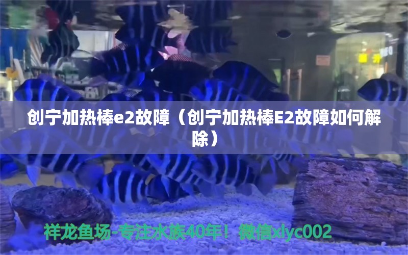 創(chuàng)寧加熱棒e2故障（創(chuàng)寧加熱棒E2故障如何解除）