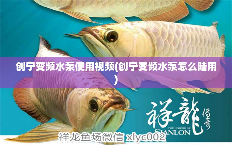 創(chuàng)寧變頻水泵使用視頻(創(chuàng)寧變頻水泵怎么陸用) 創(chuàng)寧水族