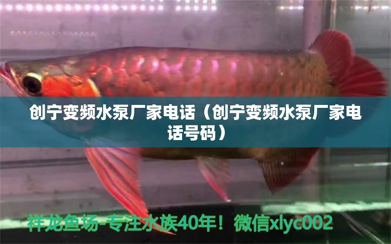 創(chuàng)寧變頻水泵廠家電話（創(chuàng)寧變頻水泵廠家電話號(hào)碼）