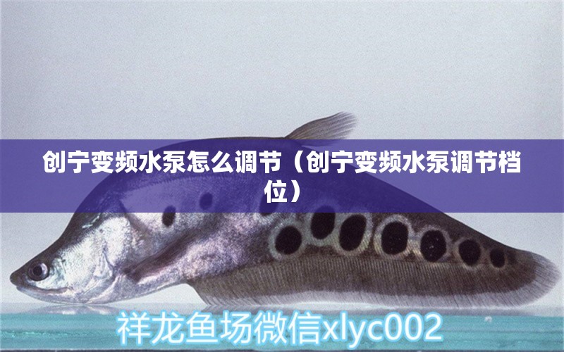 創(chuàng)寧變頻水泵怎么調(diào)節(jié)（創(chuàng)寧變頻水泵調(diào)節(jié)檔位） 創(chuàng)寧水族