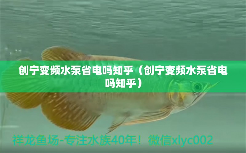 創(chuàng)寧變頻水泵省電嗎知乎（創(chuàng)寧變頻水泵省電嗎知乎） 創(chuàng)寧水族