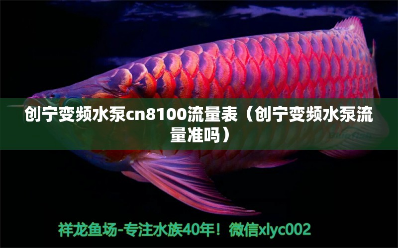 創(chuàng)寧變頻水泵cn8100流量表（創(chuàng)寧變頻水泵流量準(zhǔn)嗎）