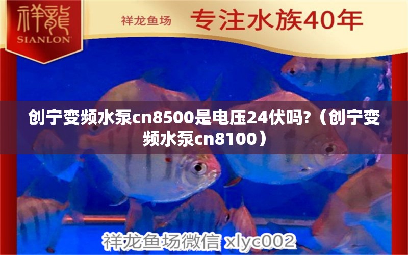 創(chuàng)寧變頻水泵cn8500是電壓24伏嗎?（創(chuàng)寧變頻水泵cn8100）