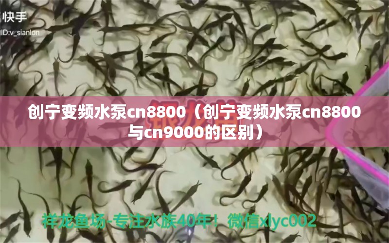 創(chuàng)寧變頻水泵cn8800（創(chuàng)寧變頻水泵cn8800與cn9000的區(qū)別） 創(chuàng)寧水族