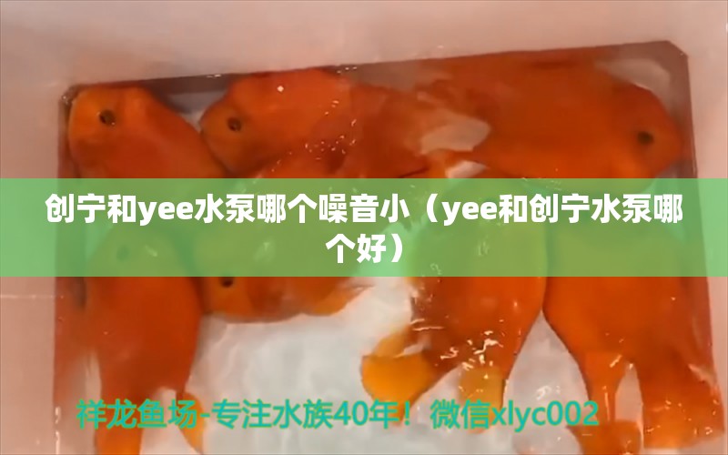 創(chuàng)寧和yee水泵哪個(gè)噪音小（yee和創(chuàng)寧水泵哪個(gè)好） yee