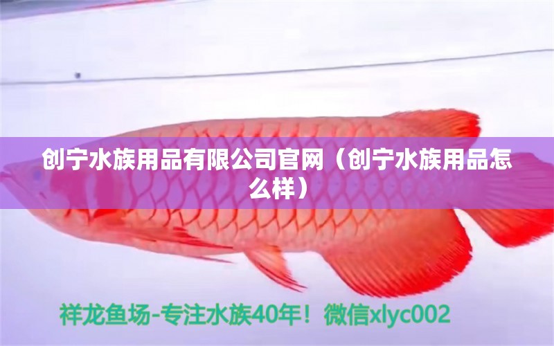 創(chuàng)寧水族用品有限公司官網(wǎng)（創(chuàng)寧水族用品怎么樣） 創(chuàng)寧水族