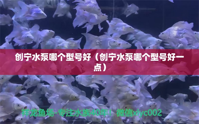 創(chuàng)寧水泵哪個(gè)型號(hào)好（創(chuàng)寧水泵哪個(gè)型號(hào)好一點(diǎn)）