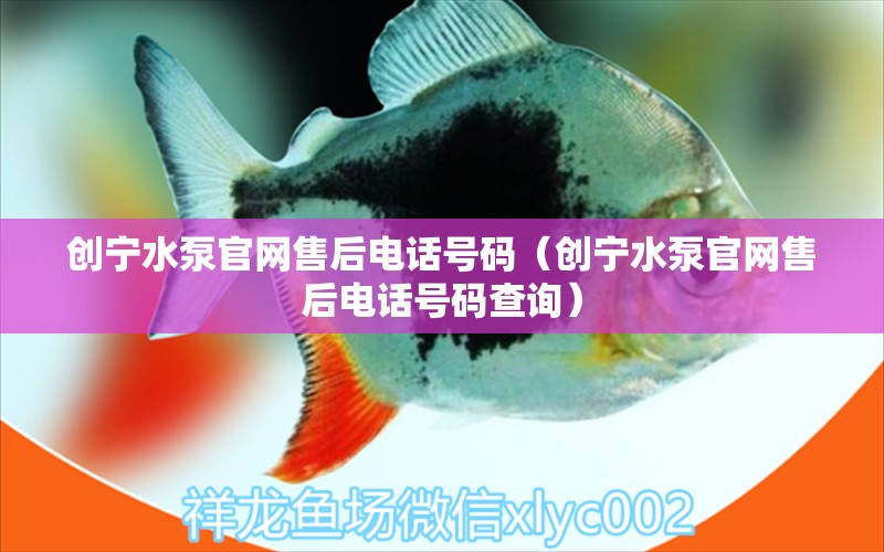 創(chuàng)寧水泵官網(wǎng)售后電話號碼（創(chuàng)寧水泵官網(wǎng)售后電話號碼查詢） 創(chuàng)寧水族