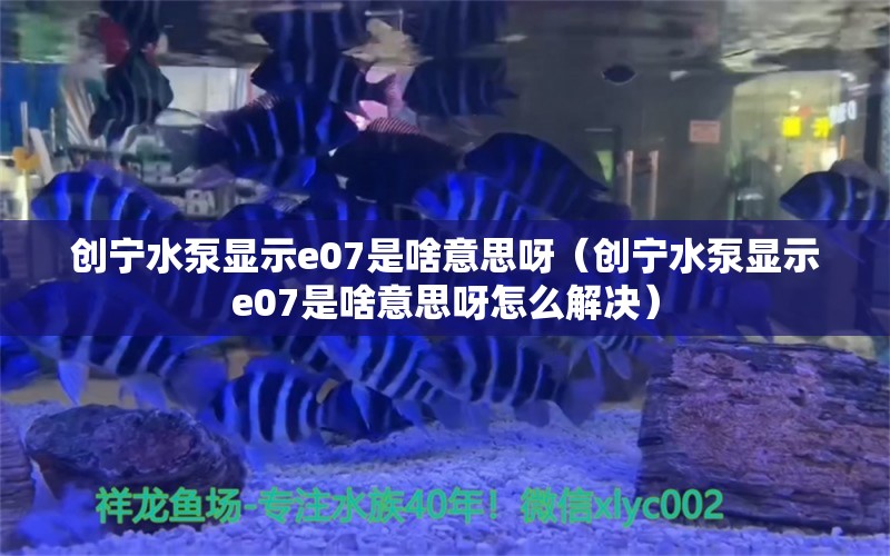 創(chuàng)寧水泵顯示e07是啥意思呀（創(chuàng)寧水泵顯示e07是啥意思呀怎么解決） 創(chuàng)寧水族