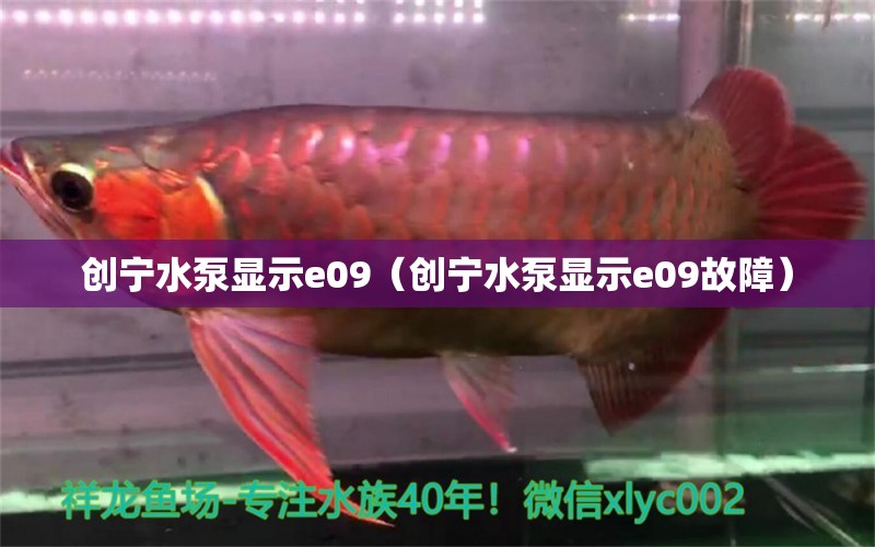 創(chuàng)寧水泵顯示e09（創(chuàng)寧水泵顯示e09故障） 創(chuàng)寧水族