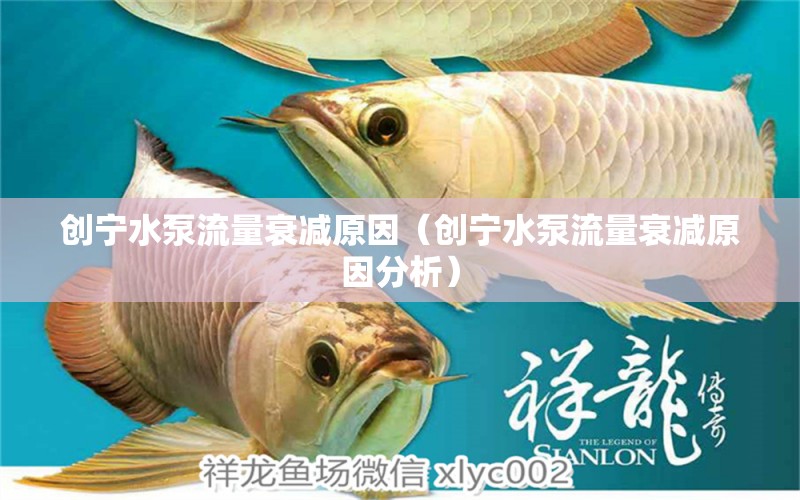 創(chuàng)寧水泵流量衰減原因（創(chuàng)寧水泵流量衰減原因分析） 創(chuàng)寧水族