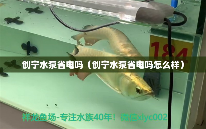 創(chuàng)寧水泵省電嗎（創(chuàng)寧水泵省電嗎怎么樣） 創(chuàng)寧水族