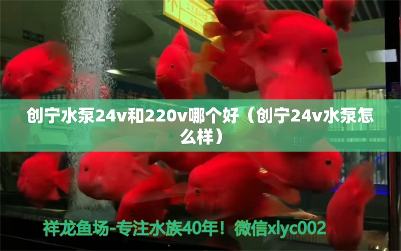 創(chuàng)寧水泵24v和220v哪個好（創(chuàng)寧24v水泵怎么樣）