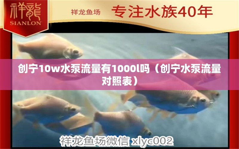 創(chuàng)寧10w水泵流量有1000l嗎（創(chuàng)寧水泵流量對(duì)照表）