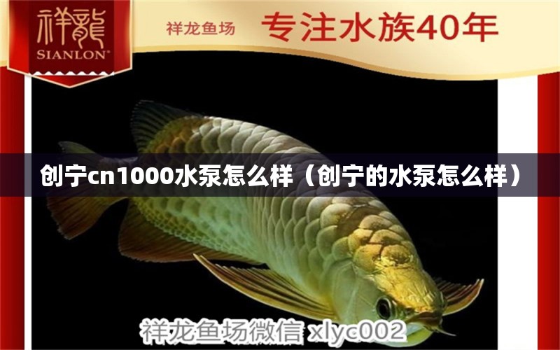 創(chuàng)寧cn1000水泵怎么樣（創(chuàng)寧的水泵怎么樣）