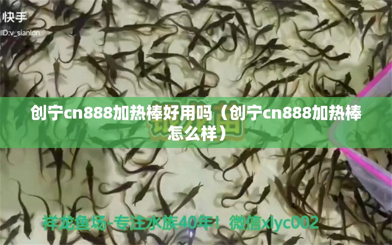 創(chuàng)寧cn888加熱棒好用嗎（創(chuàng)寧cn888加熱棒怎么樣）