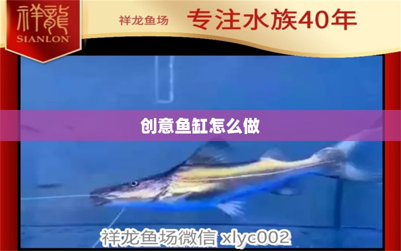 創(chuàng)意魚缸怎么做