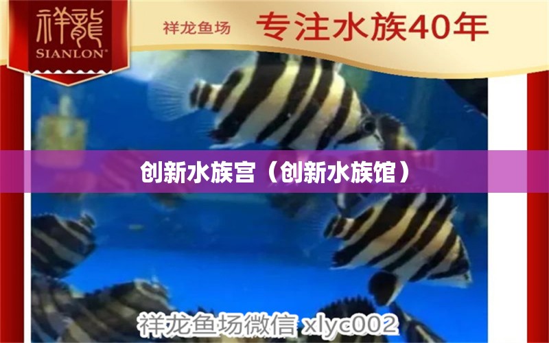 創(chuàng)新水族宮（創(chuàng)新水族館）