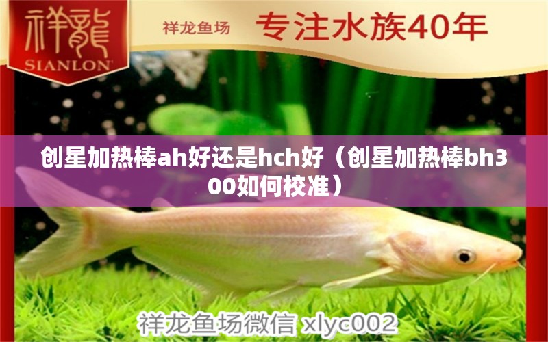 創(chuàng)星加熱棒ah好還是hch好（創(chuàng)星加熱棒bh300如何校準(zhǔn)）