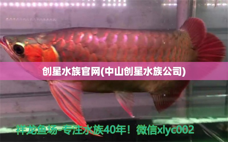 創(chuàng)星水族官網(wǎng)(中山創(chuàng)星水族公司)