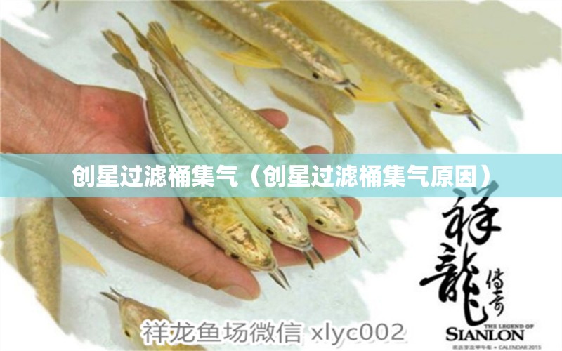 創(chuàng)星過濾桶集氣（創(chuàng)星過濾桶集氣原因） 福魟魟魚