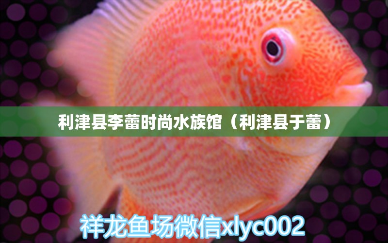 利津縣李蕾時(shí)尚水族館（利津縣于蕾）