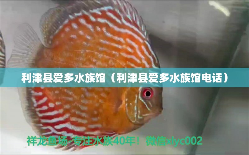 利津縣愛多水族館（利津縣愛多水族館電話） 全國水族館企業(yè)名錄