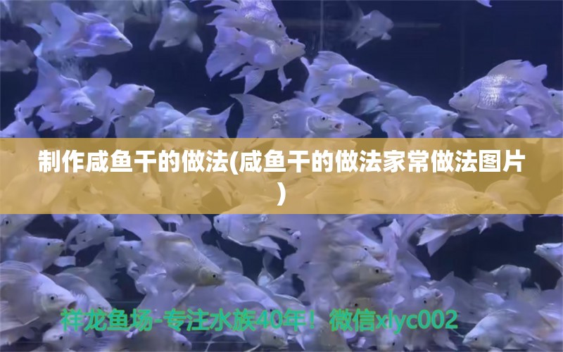 制作咸魚干的做法(咸魚干的做法家常做法圖片) 撒旦鴨嘴魚