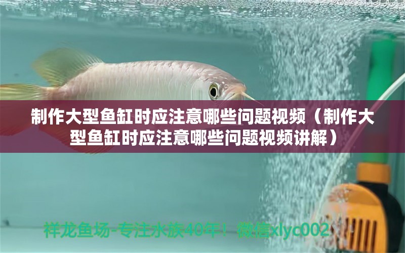 制作大型魚缸時應注意哪些問題視頻（制作大型魚缸時應注意哪些問題視頻講解） 鴨嘴鯊魚