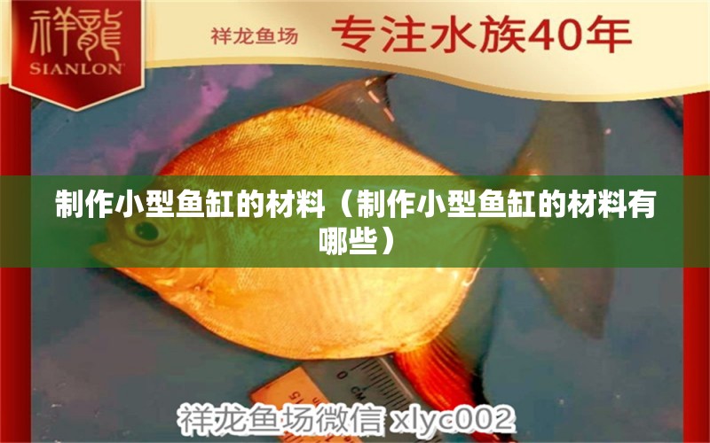 制作小型魚(yú)缸的材料（制作小型魚(yú)缸的材料有哪些）