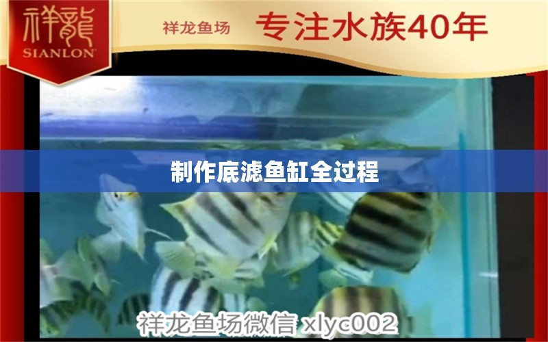 制作底濾魚缸全過程 祥龍魚場