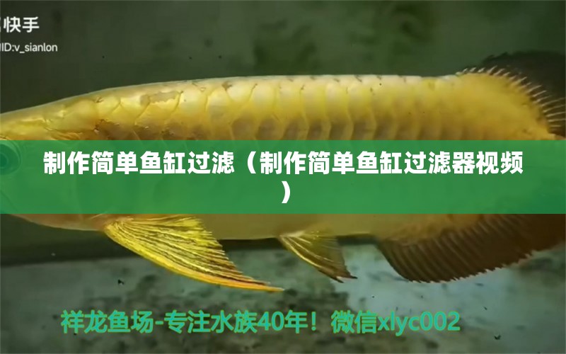 制作簡單魚缸過濾（制作簡單魚缸過濾器視頻）