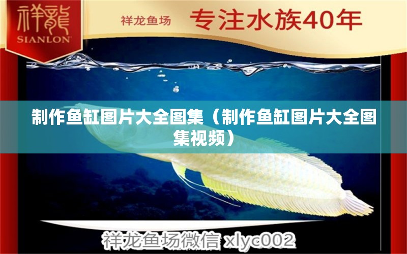 制作魚(yú)缸圖片大全圖集（制作魚(yú)缸圖片大全圖集視頻）