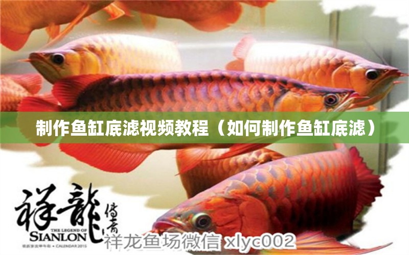 制作魚缸底濾視頻教程（如何制作魚缸底濾） 祥龍水族醫(yī)院