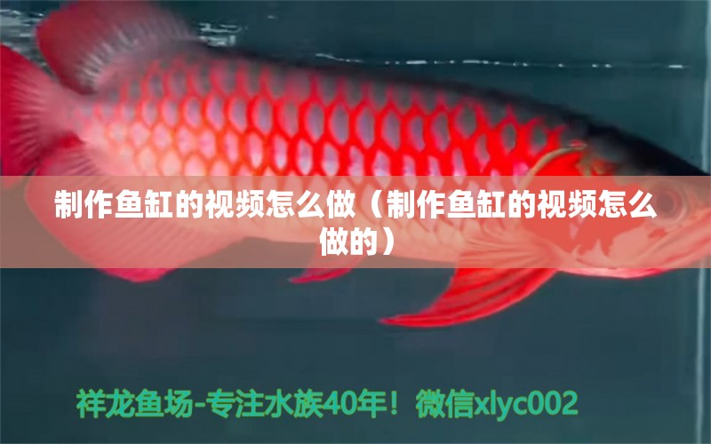 制作魚缸的視頻怎么做（制作魚缸的視頻怎么做的）