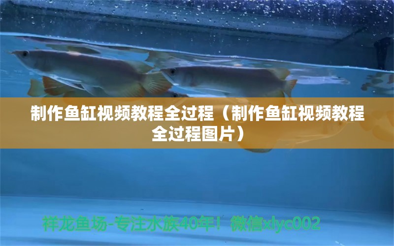 制作魚缸視頻教程全過程（制作魚缸視頻教程全過程圖片）