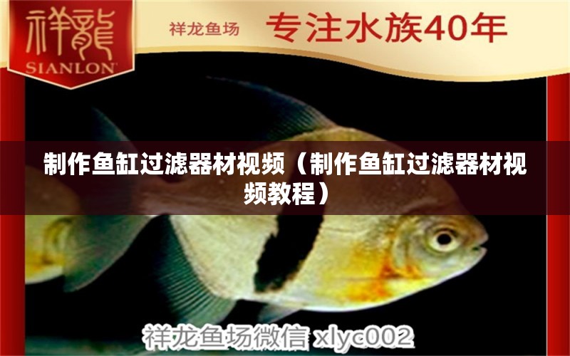 制作魚缸過濾器材視頻（制作魚缸過濾器材視頻教程） 黃金河虎魚