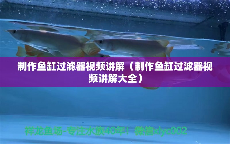 制作魚(yú)缸過(guò)濾器視頻講解（制作魚(yú)缸過(guò)濾器視頻講解大全）