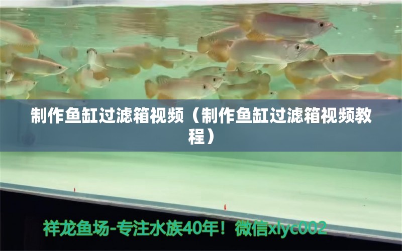 制作魚缸過濾箱視頻（制作魚缸過濾箱視頻教程）