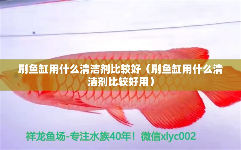 刷魚缸用什么清潔劑比較好（刷魚缸用什么清潔劑比較好用）