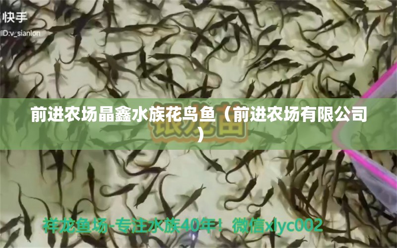 前進(jìn)農(nóng)場晶鑫水族花鳥魚（前進(jìn)農(nóng)場有限公司）