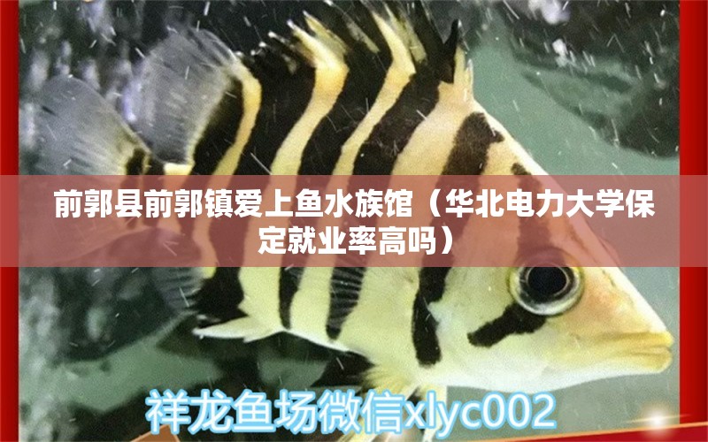 前郭縣前郭鎮(zhèn)愛上魚水族館（華北電力大學(xué)保定就業(yè)率高嗎）