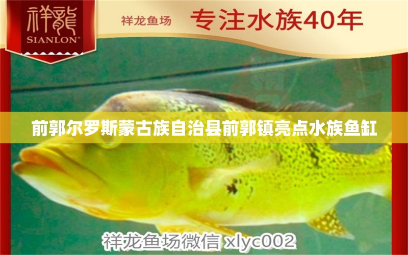 前郭爾羅斯蒙古族自治縣前郭鎮(zhèn)亮點水族魚缸