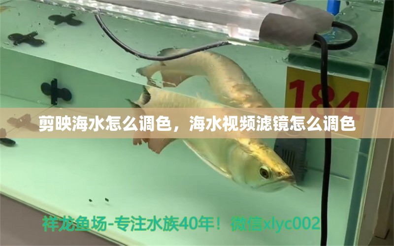 剪映海水怎么調(diào)色，海水視頻濾鏡怎么調(diào)色