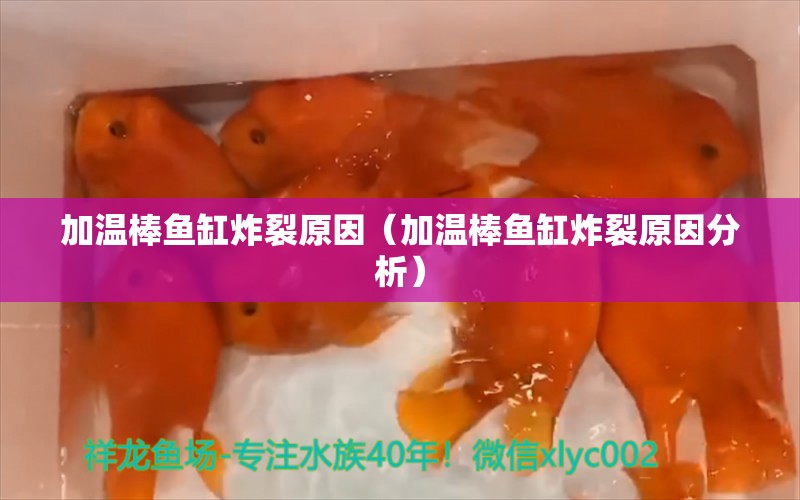 加溫棒魚缸炸裂原因（加溫棒魚缸炸裂原因分析）